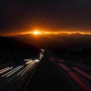 成人黄色电影网址
